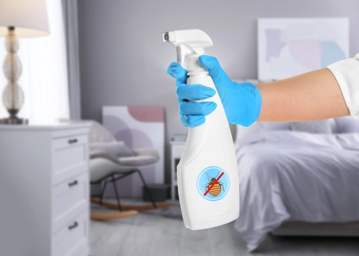 Tratamiento contra chinches en Telde 35200