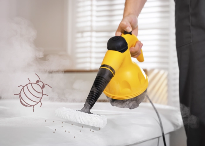 Tratamiento contra chinches en San Cristóbal de La Laguna 38205